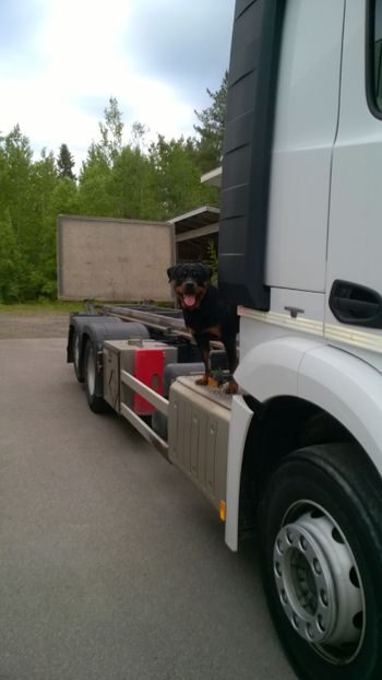 Jyrki Heinonen Oy – pihan paras kaveri